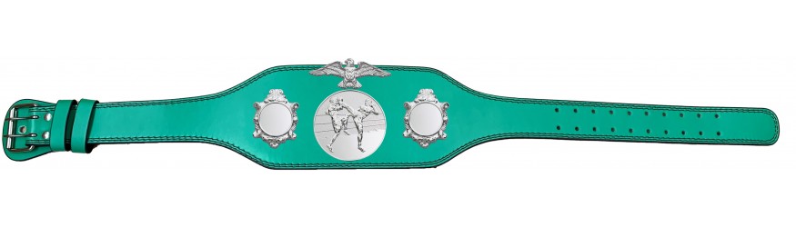 THAI BOXING CHAMPIONSHIP BELT-BUD004/S/TBOS-4 COLOURS